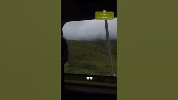 ما اسم القارئ 💚 ؟؟؟