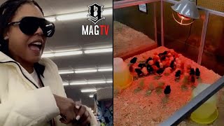 Moniece Slaughter Spends 700 Dollars On Live Chickens To Offset The Price Of Eggs