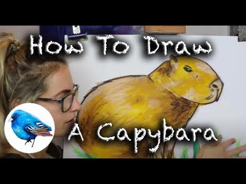 How to draw CAPYBARA step by step, VERY EASY and fast 