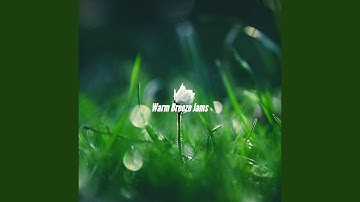 Sensational Ambience for Momentum Reflection