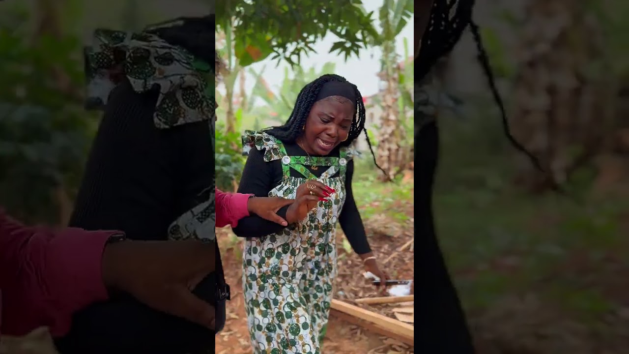 Moustik Karismatik feat les rigolards inspecteur du travail