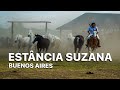 BUENOS AIRES | Day tour em uma típica fazenda Argentina!