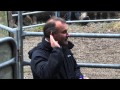 PGG Wrighston Stud Tour - Ep. 18 - Matariki Herefords