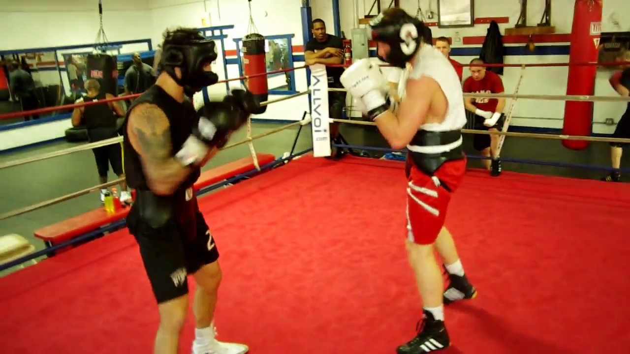 Andrzej Fonfara-Donovan George, sparing, 2012