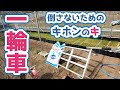 白ねぎ苗並べと一輪車の使い方 2021-03-09