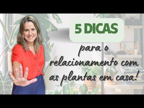 5 dicas no relacionamento com as plantas em casa #shorts