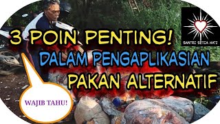 3 poin penting! Dalam Pemberian Pakan Alternatif Lele-SANTRI SETIA HATI