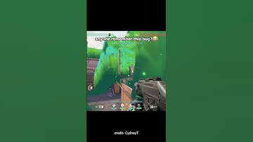 Game breaking bug💀