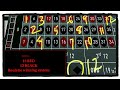 STEVE PACKER 12 RED/12 BLACK Roulette System