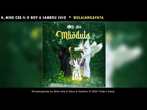 MIKE CEE WULAJANGAYATA Feat O BOY SAMBOU SUSO Official Audio 
