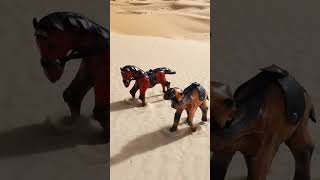 horse and camel are running in the desert