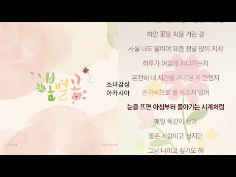 나비 (Navi) -  봄별꽃