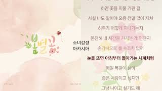 나비 (Navi) -  봄별꽃