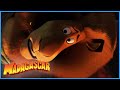 DreamWorks Madagascar It Tastes Like Chicken Madagascar Escape 2 Africa Movie Clip DreamWorks Madagascar It Tastes Like Chicken Madagascar Escape 2 Africa Movie Clip