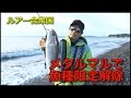 ルアー合衆国/“メタルマル”で魚種限定解除！お気軽ライトショアジギング！【BREADEN】