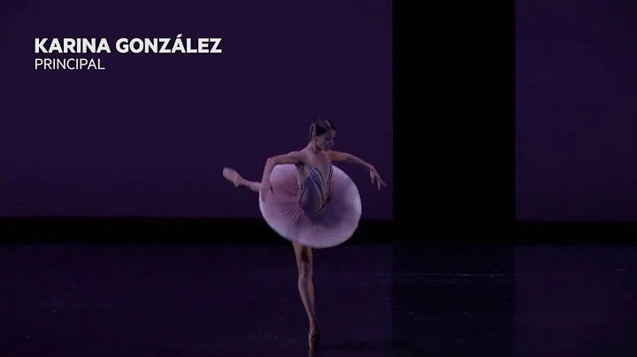 Houston Ballet Dancer Profiles | Principal Karina ...