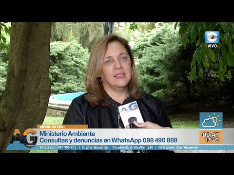 Vos también sos parte Vos también sos parte