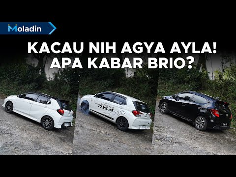 Komparasi Terlengkap! Agya GR Sport VS Ayla 1.2 R ADS VS Brio RS | Jadi Pilih Mana? | Moladin
