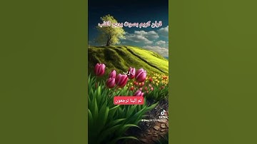 #اكسبلور #لايك #تيك_توك قران كريم