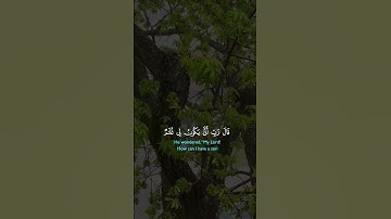 قرآن كريم #اكسبلور #القزابري #المصحف #quran #اكسبلور #لايك #قران_كريم #flowers