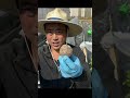 里芋の種イモの選び方、（買ったほうが病気面で無難）