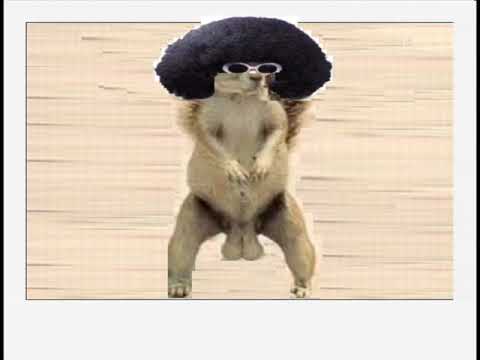 disco nutz youtube