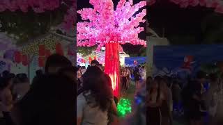 Bayambang christmas village merrychristmas shortsvideo