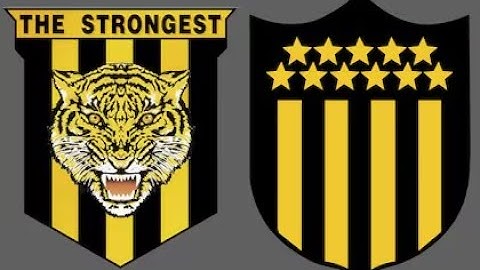 The Strongest vs Peñarol - Libertadores 2024 - Octavos Vuelta - Encuentro Completo