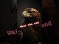Eagle king #animals #viralvideo #shorts #eagles #generator