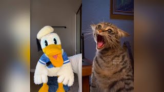 Donald Ducc SCARIEST TikToks 100! (DO NOT BE SCARED CHALLENGE)