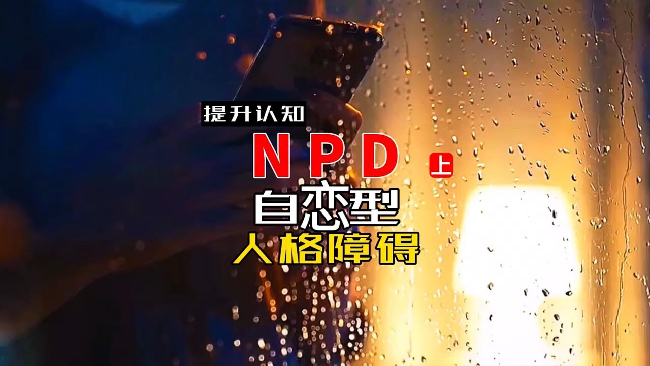 NPD 自恋型人格障碍 （上）