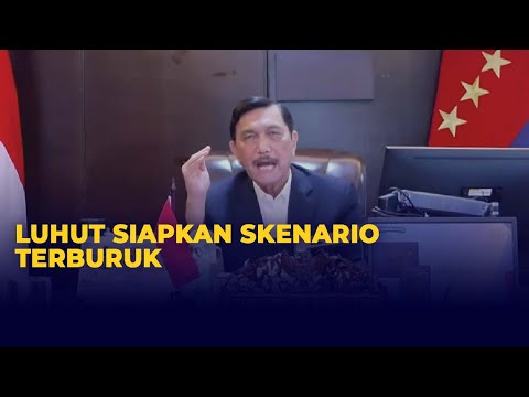 Video: Mereka Khawatir Alpukat Akan Habis Jika Perbatasan Ditutup