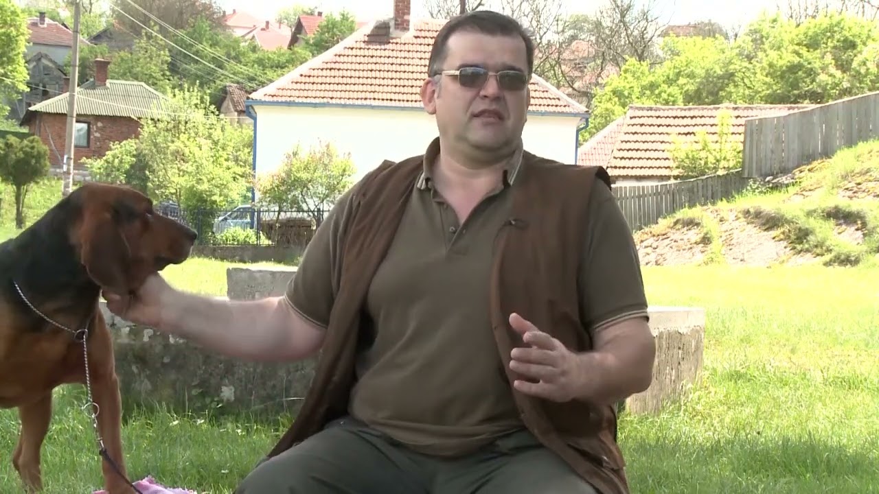 Postupci sa štencima i ženkom nakon štenjenja - Lovački saveti