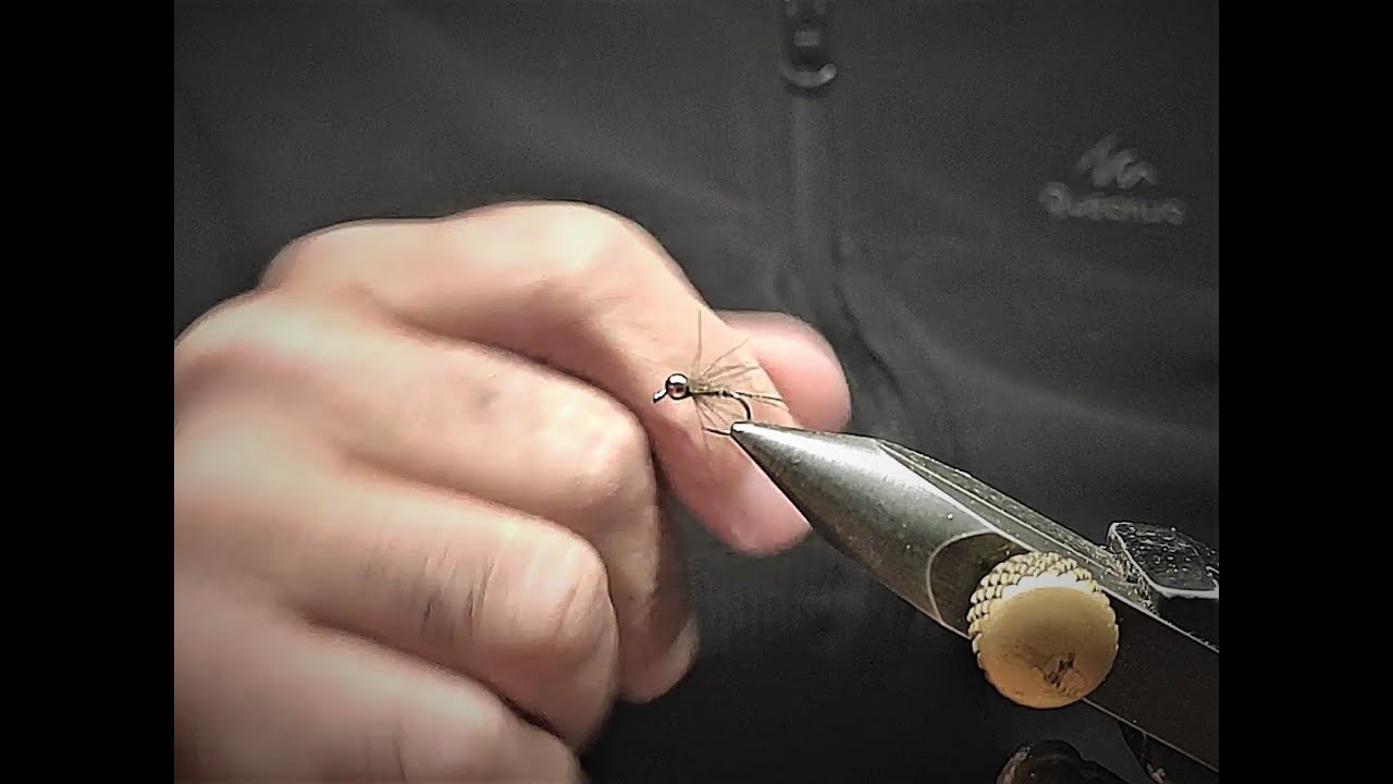 Ninfa para recordar, Faisan