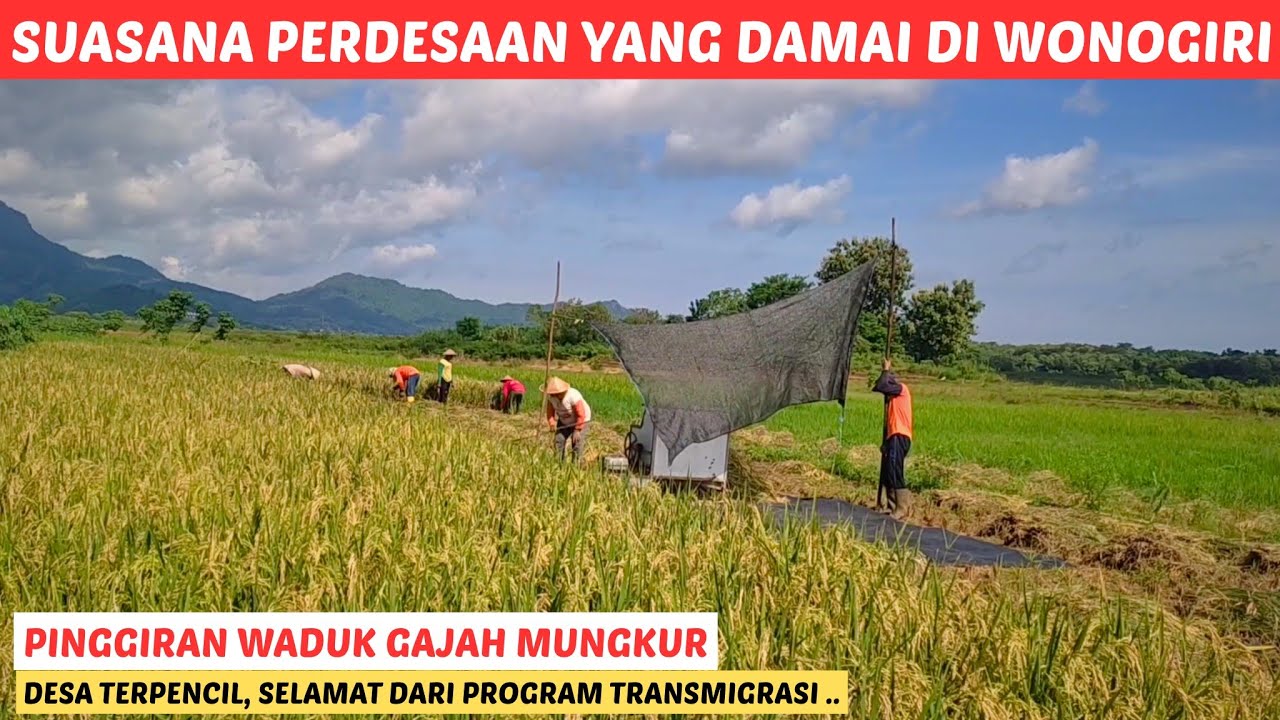 Desa Terpencil di Pinggir Waduk Gajah Mungkur Wonogiri | Tidak ikut Transmigrasi ‼️