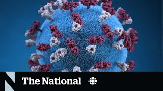 Unvaccinated child dies of measles in Ontario