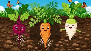 Types Of Roots For Kids Learn About Taproot, Fibrous, And Aerial Roots Kids Think