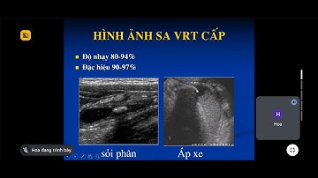 Siêu âm cấp cứu bụng _cơ bản 