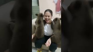 ganggu aja... nich bocil😂