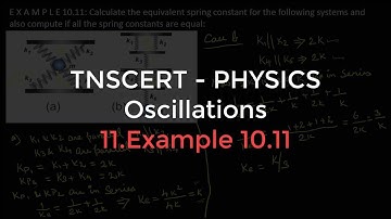 11.Physics | Oscillations | Example 10.11