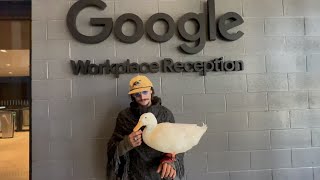 I took my duck to Google and The Park