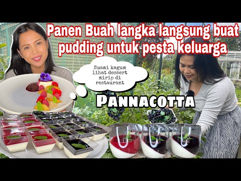 Video: Panna Cotta Dengan Rasa Manisan 