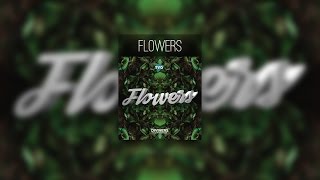 Diviners - Flowers (ft. Dom Robinson) | No Copyright