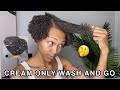 Cream Only Wash and Go On My Short 4A Curls | Will It Define My Curls?