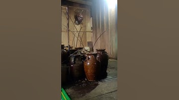 RƯỢU CẦN THƠM NGON AN TOÀN ĐÃ LÀM ANH ẤY SAY || AN TOÀN AN LÃO BÌNH ĐỊNH _TIỂU VIỆT OFFICIAL