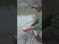 Peixe Demais! 😱 Pescaria Única no AMAZONAS
