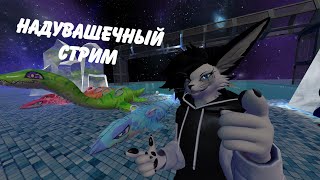 Разговорно-надувашечный стрим