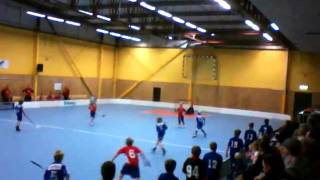 Örby_p98_Lamadjuret 2010-01-04_del3.AVI