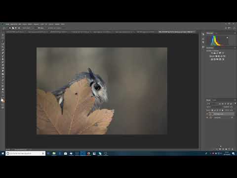Quicktipp Photoshop Farbfläche