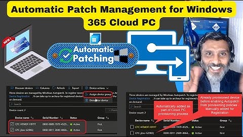 Automatic Patch Management for Windows 365 Cloud PC without any additional cost? Office Patching?